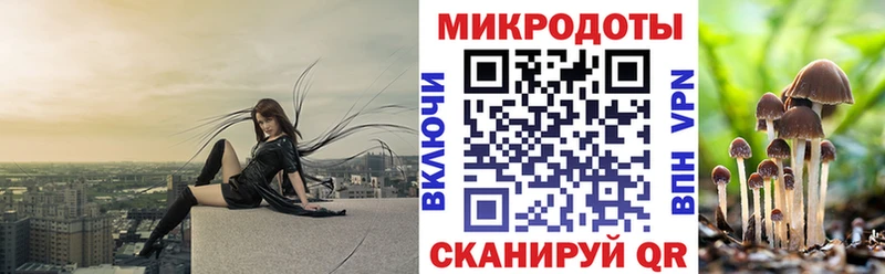 Галлюциногенные грибы мицелий  Купить  Лебедянь 