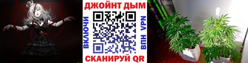 Купить  Лебедянь  Канабис MAZAR 